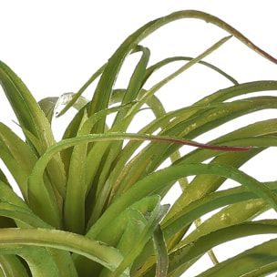 Tillandsia. Misure 30X40 Cm - Pezzi 3 - 40X30X30cm - Colore: Verde - Bianchi Dino - Piante Artificiali