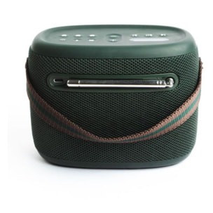Radio DAB PURE Woodland Green