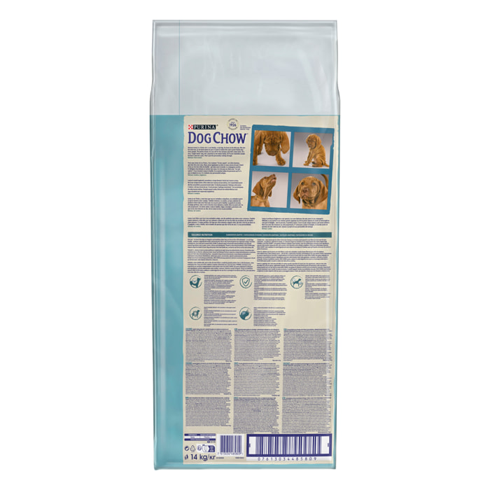 DOG CHOW Chien Puppy Large Dinde 14KG