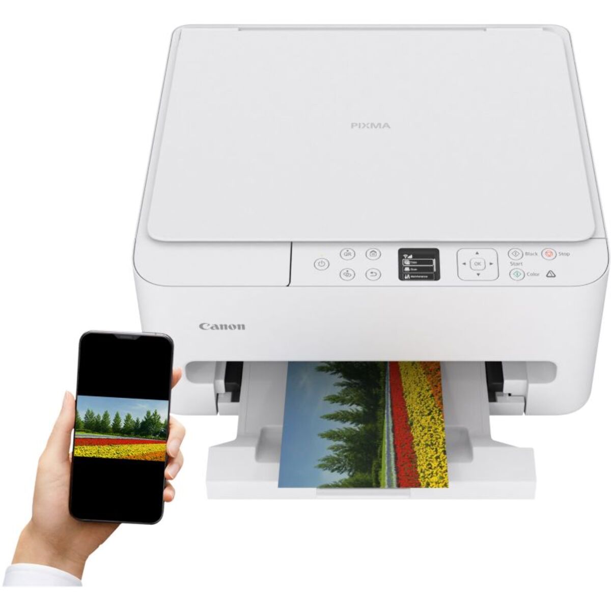 Imprimante jet d'encre CANON PIXMA TS6550i WH