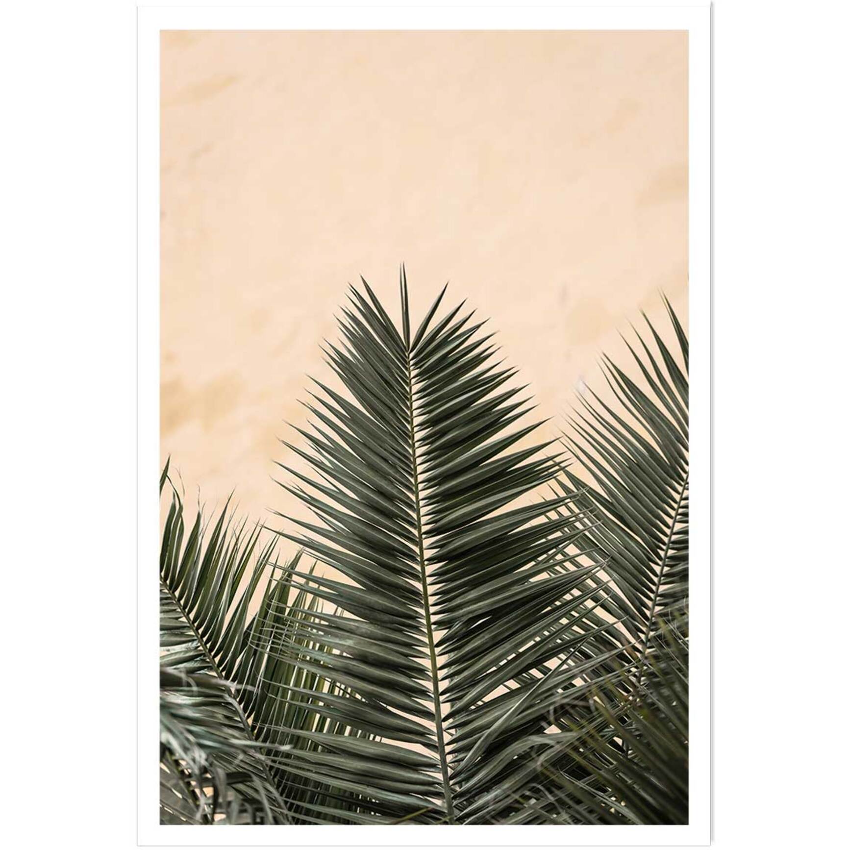 Poster sandy palme Affiche seule