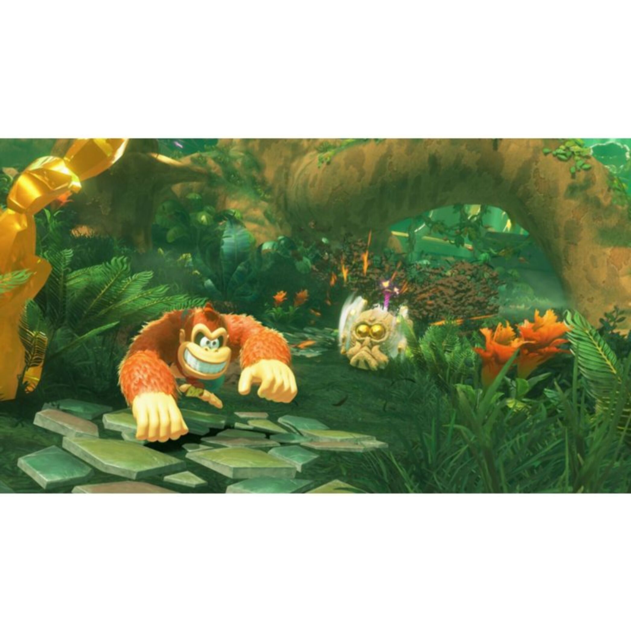 Jeu Switch 2 NINTENDO Donkey Kong Bananza