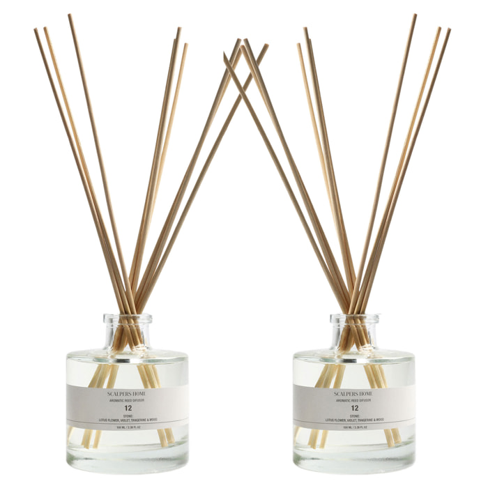 Set de 2 difusores mikado de 100ml aroma stone scalpers