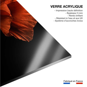 Tableau coquelicot enlacés  Tableau plexiglas