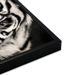 Affiche encadrée tigre noir et blanc Affiche + cadre en métal - Noir