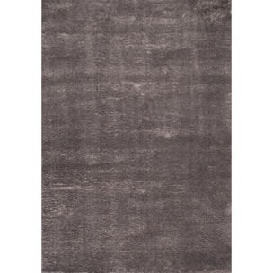 Cosy - tapis salon à poils longs tout doux, gris