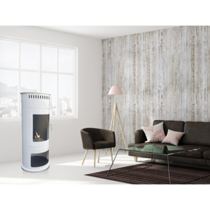 Poêle à éthanol 3kW en acier avec façade en verre trempé