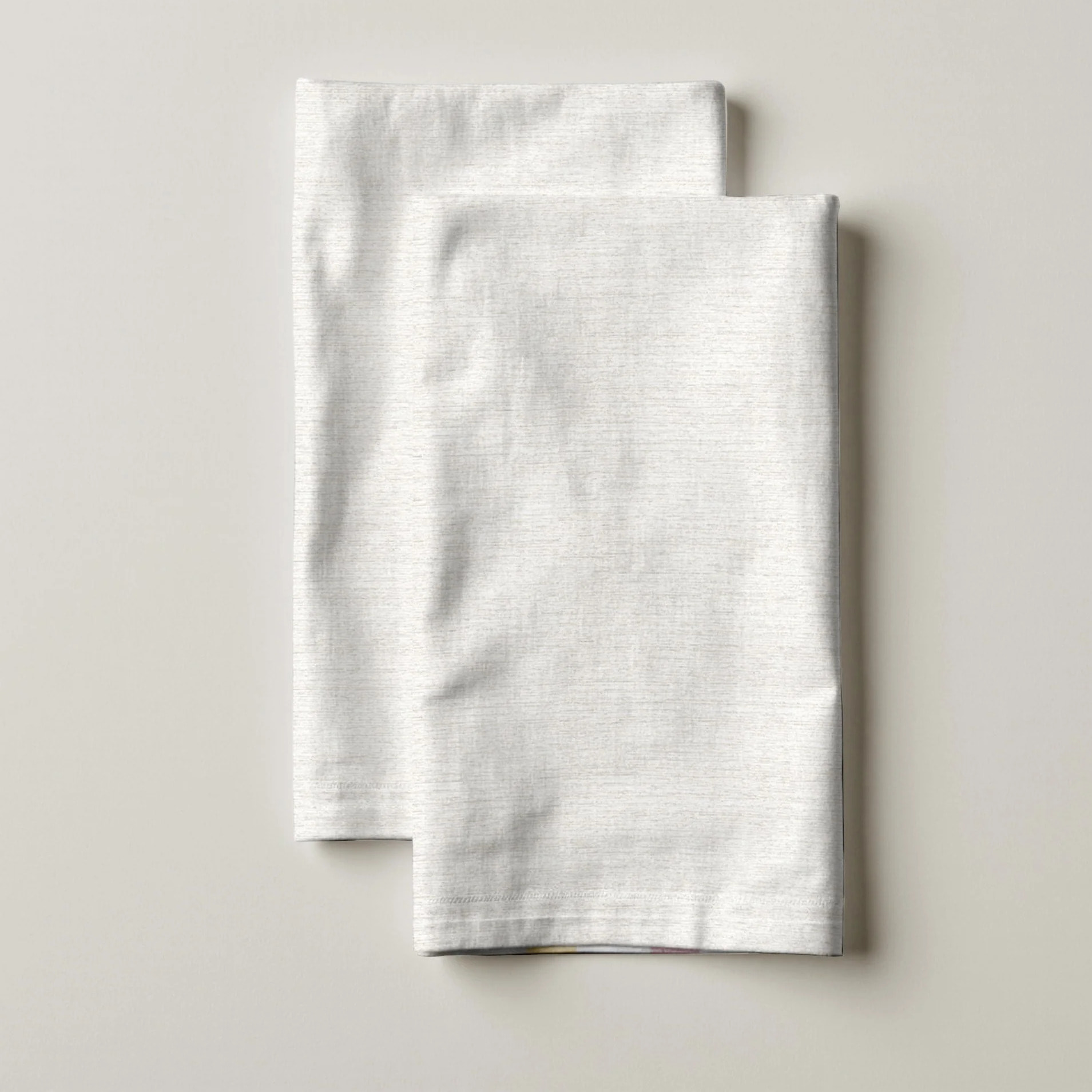 Lot de 2 torchons de cuisine 100% coton Salina