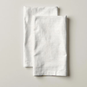 Lot de 2 torchons de cuisine 100% coton Salina