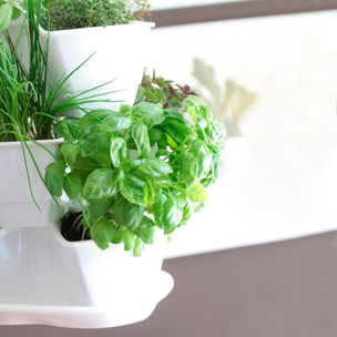 Jardín vertical colgante coubi herbal 9l., dimensiones (mm) 295x295x880, color blanco