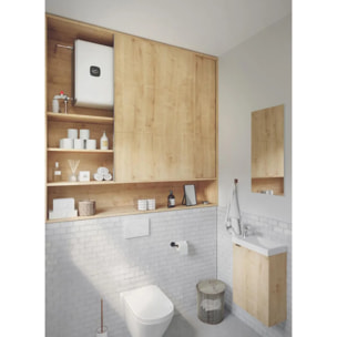 Chauffe-eau électrique Malicio 3 plat multipostion 40L blanc - THERMOR - 231063