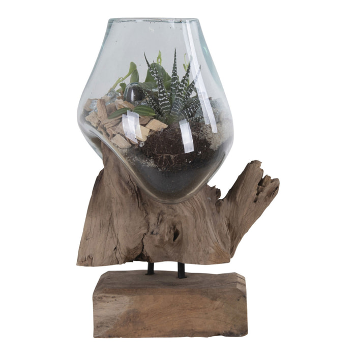 Terrario San Marino in vetro a goccia su base in radice di teak 18x15xh25 cm