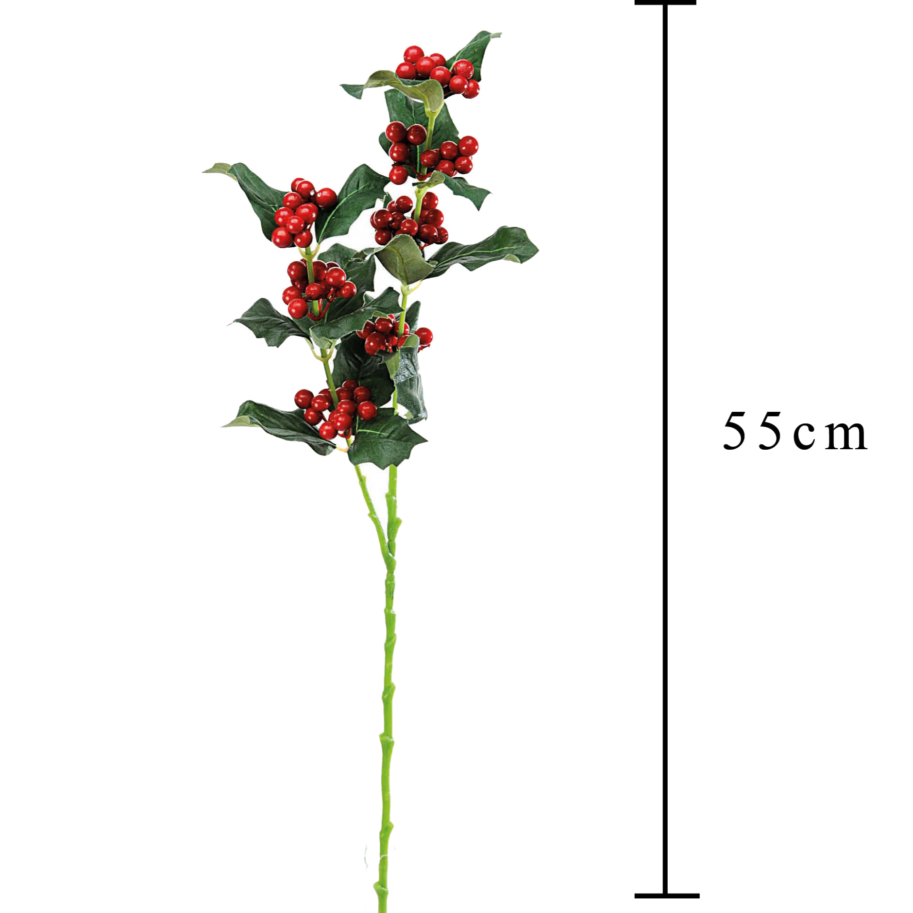 Agrifoglio - Pezzi 24 - 20xH55x6cm - Bianchi Dino SpA