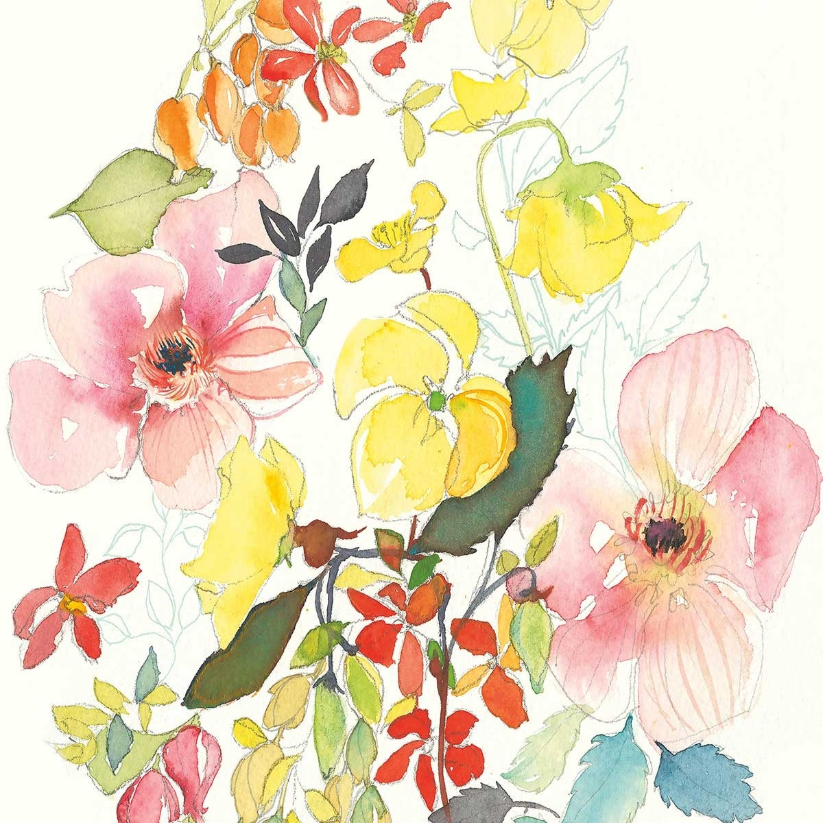 Affiche fleurs Boutons d'or Affiche sous cadre noir
