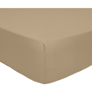 Drap Housse 2 Pers Percale De Coton Lin