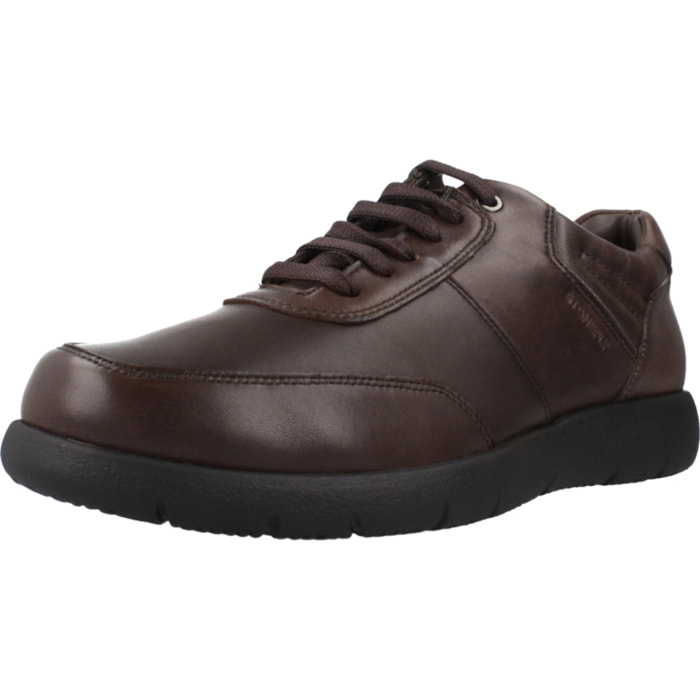 Sneakers de  Hombre de la marca STONEFLY  modelo STREAM 33 NAPPA LTH Brown