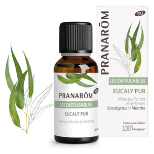 Pranarom - Eucaly’Pur - Bio - 30 ml