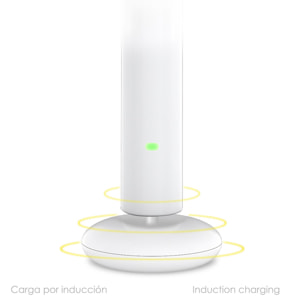 Spazzolino elettrico con batteria ricaricabile e testina. Ricarica wireless induttiva.