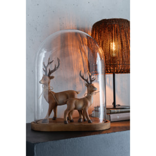 J-Line Cloche Ovale Bois/Verre Transparent/Marron Fonce Small