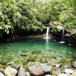 Tableau petit bassin Tableau alu Dibond