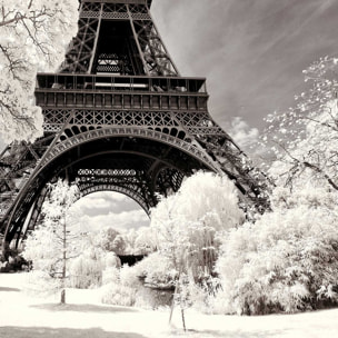 Affiche paris winter white la tour eiffel Affiche + cadre en bois - Chêne