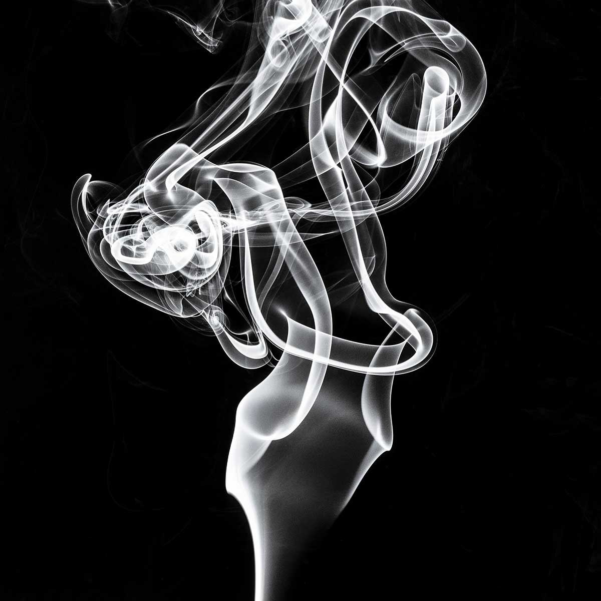 Poster white smoke tulip dream Affiche sous cadre bois