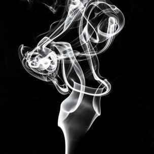 Poster white smoke tulip dream Affiche sous cadre bois