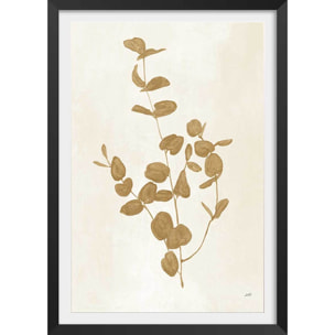 Affiche fleurs Recolte d'or Roya Affiche + cadre en bois - Noir