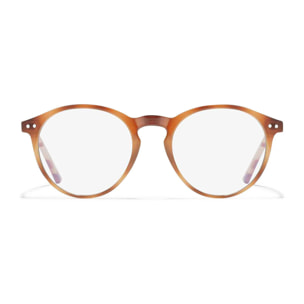 Gafas De Sol D. Franklin Ultra Light Max Tort   Block