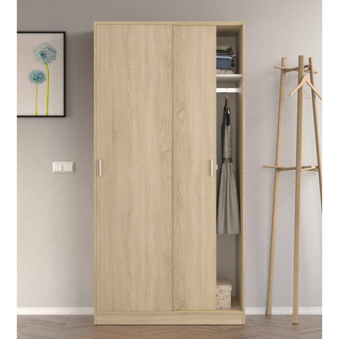 Guardaroba 2 ante Alt, Armadio per camera da letto, Mobile con ripiano e barra appendiabiti, 100x50h200 cm, Rovere