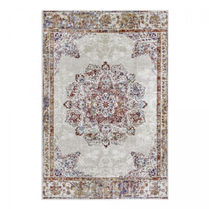 Tapis salon Rectangulaire Oriental