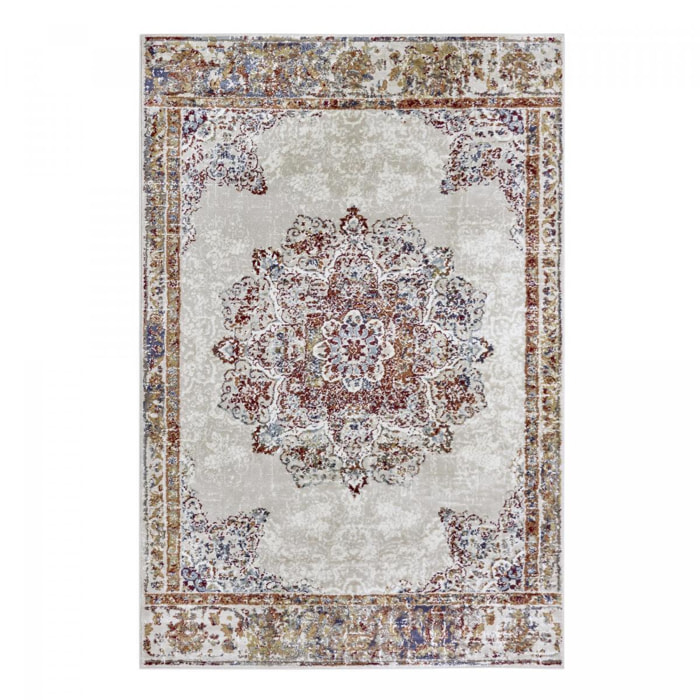 Tapis salon Rectangulaire Oriental