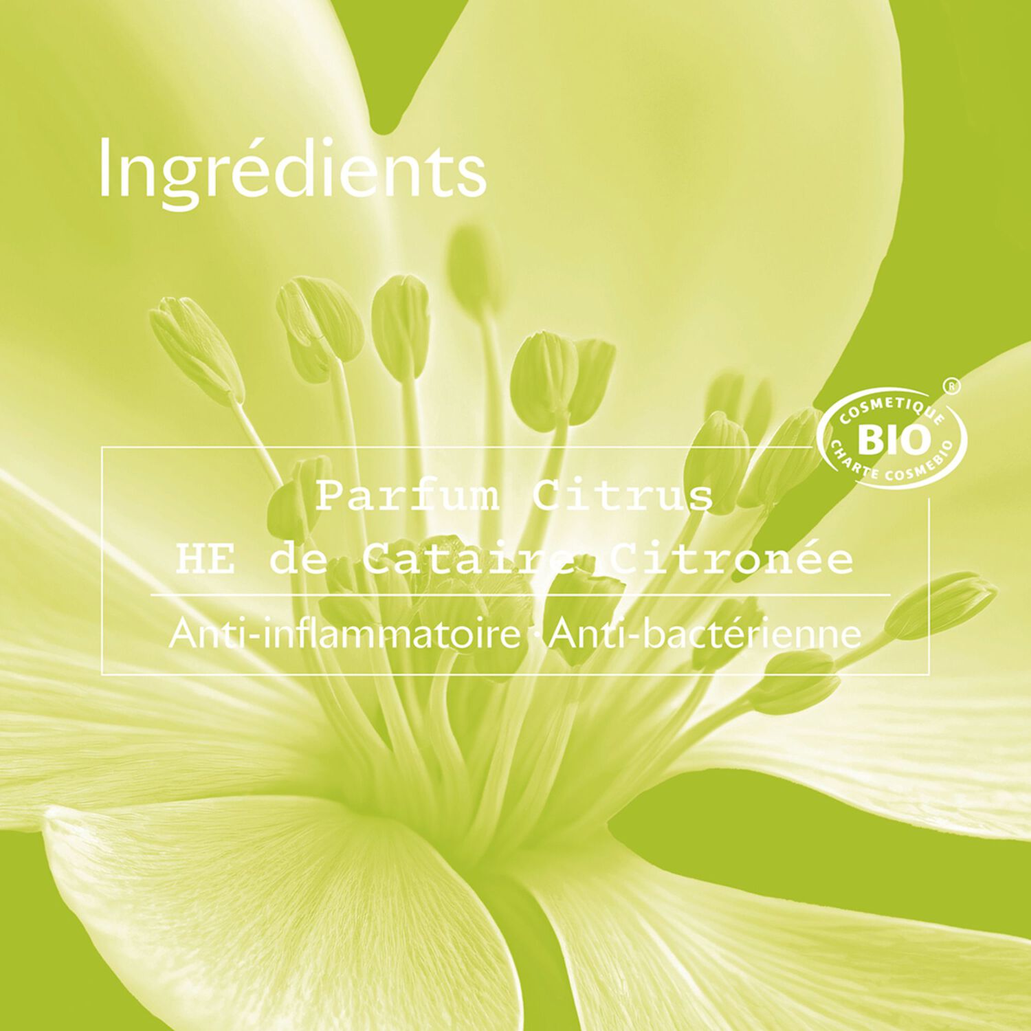 Citrus - Roll-on Bio efficacité 24h 2 x 50ml