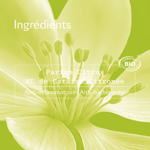 Citrus - Roll-on Bio efficacité 24h 2 x 50ml