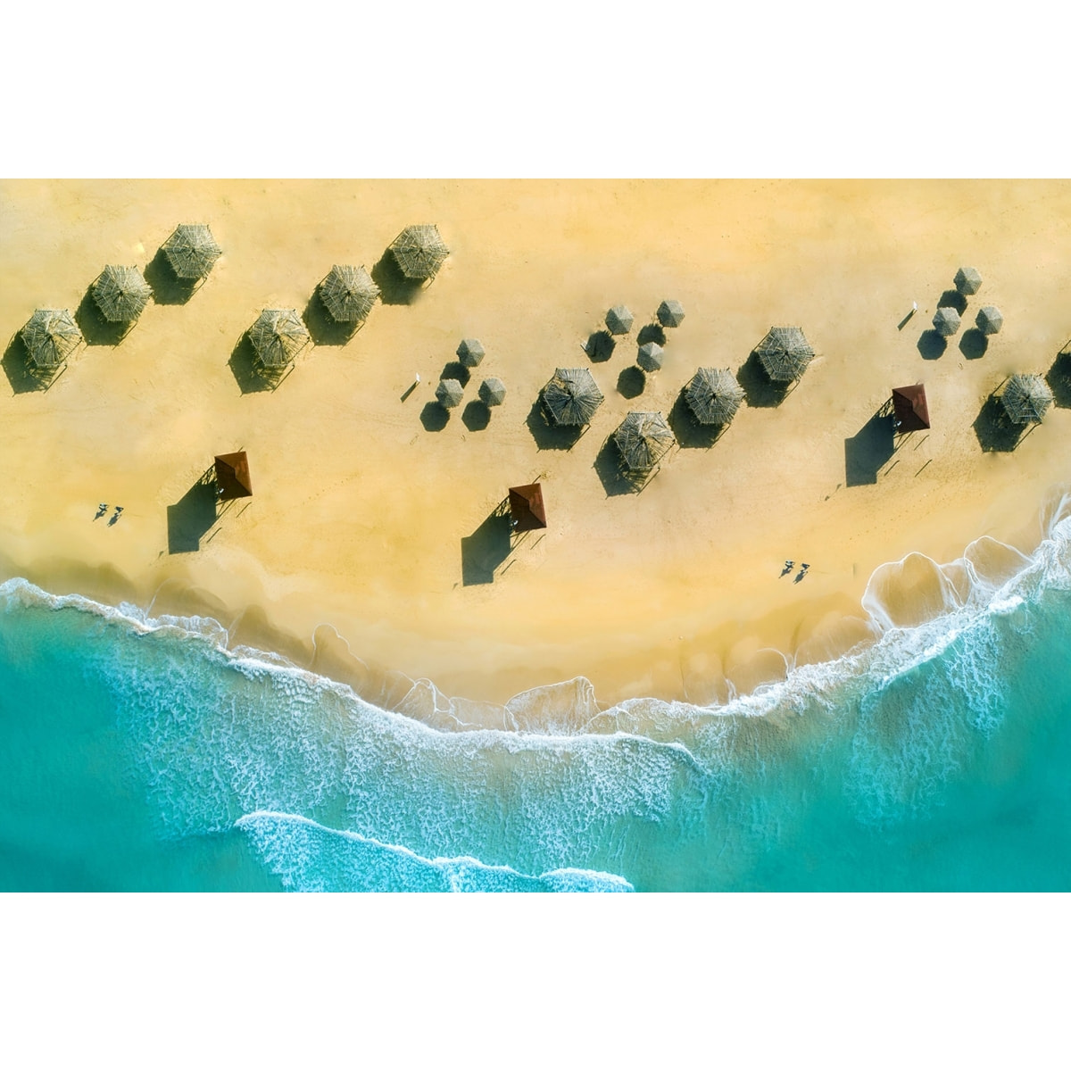 Tableau paillote du pacifique Tableau alu Dibond