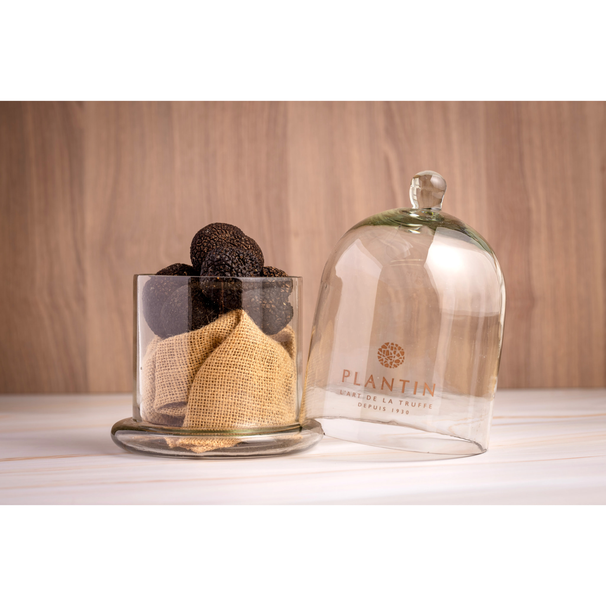 Truffes noires fraiches du Périgord Tuber Melanosporum 50g ? Plantin