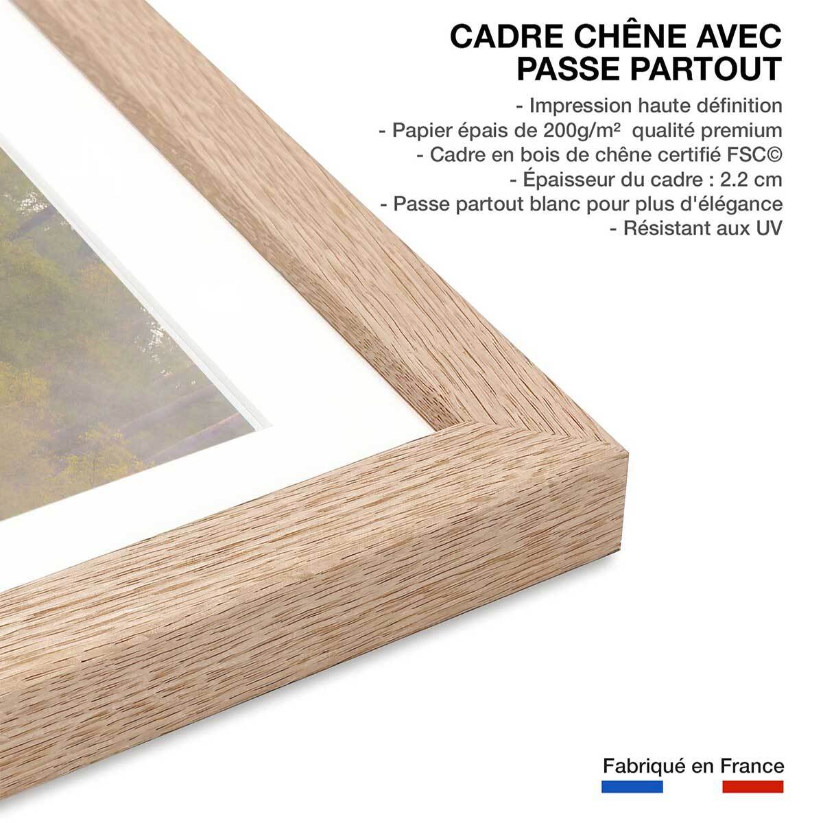 Affiche paysage oies sauvages Affiche sous cadre bois