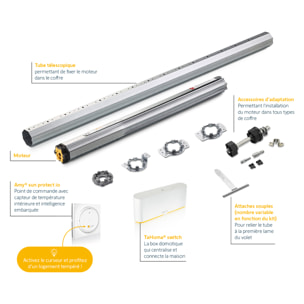 Kit motorisation porte-fenêtre RMS 2600 + box TaHoma switch