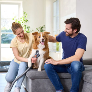 Décolleuse papier peint THOMAS Toilettage douce chiens chats aspirateur