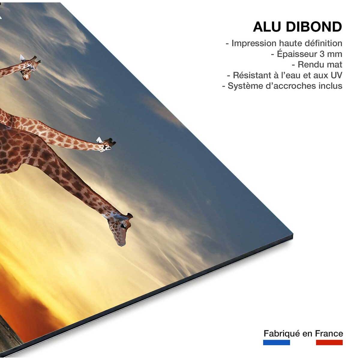 Tableau animaux girafe meeting Tableau alu Dibond