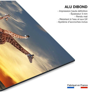Tableau animaux girafe meeting Tableau alu Dibond