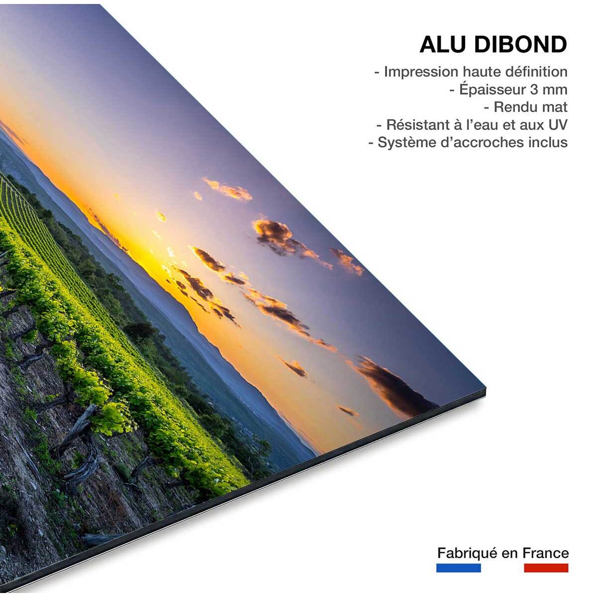 Tableau Tableau photo vineyard Tableau alu Dibond
