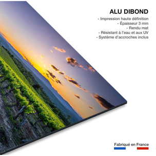 Tableau Tableau photo vineyard Tableau alu Dibond