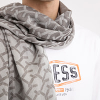 Foulard - logo - gris clair - 180 x 90 cm