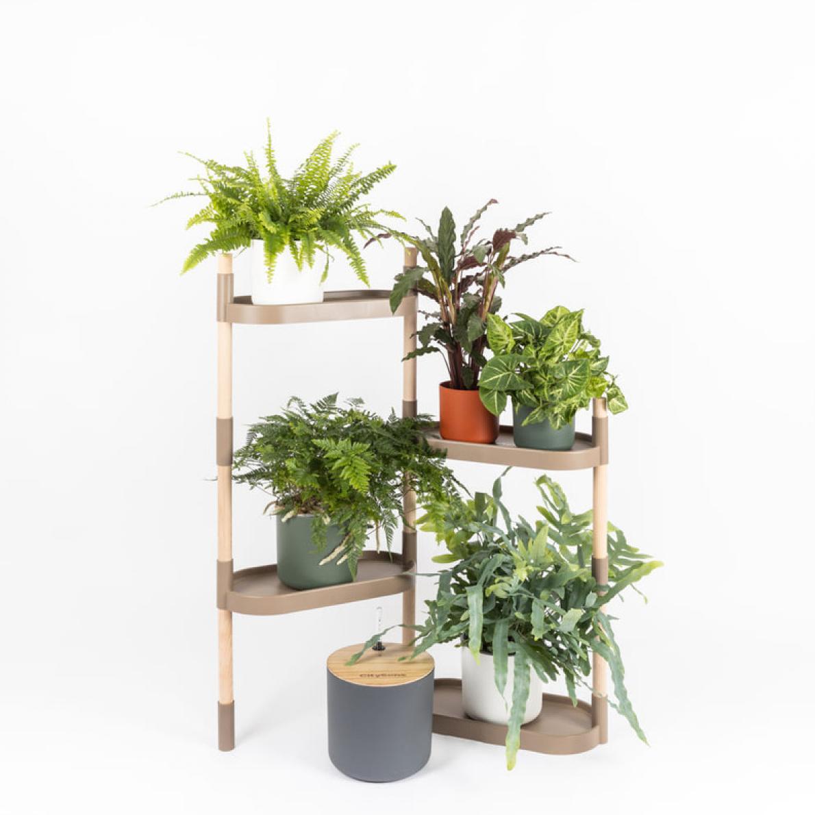 CitySens Estantería para plantas modular y personalizable con riego automático por goteo