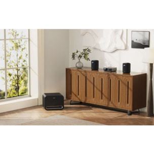 Enceinte Multiroom WIIM Sound Black with display