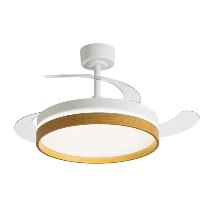 Ventilateur Plafond LED CALYSA D106CM