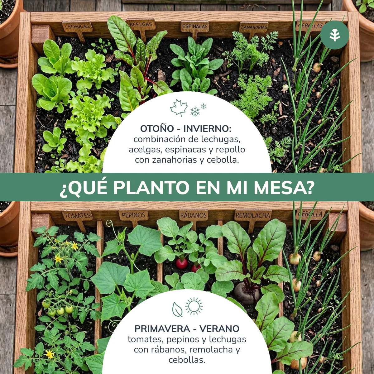 Cajonera de Cultivo Box XXL30 (200x80x30cm) Planeta Huerto 390 L
