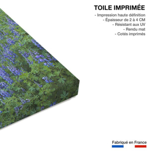 Tableau voyage en islande Toile imprimée