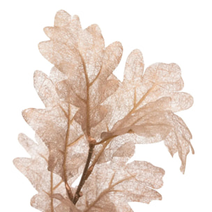 BCH CHENE CUIVRE H77